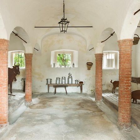 Apartament Colvago Cima Dodici - Dolomites National Park Santa Giustina  Zewnętrze zdjęcie